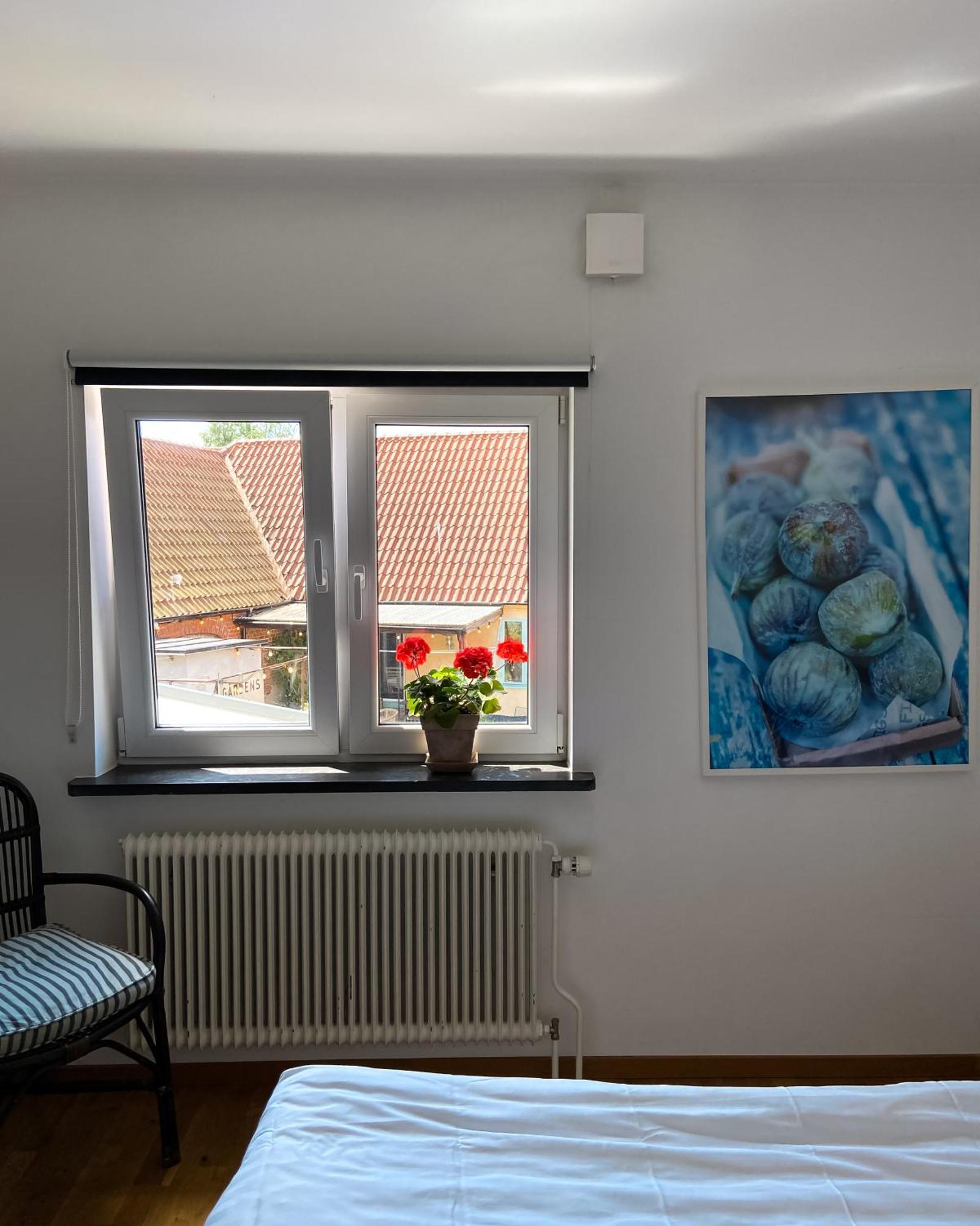 Gardens & Apotekarns B&B Simrishamn Exteriér fotografie