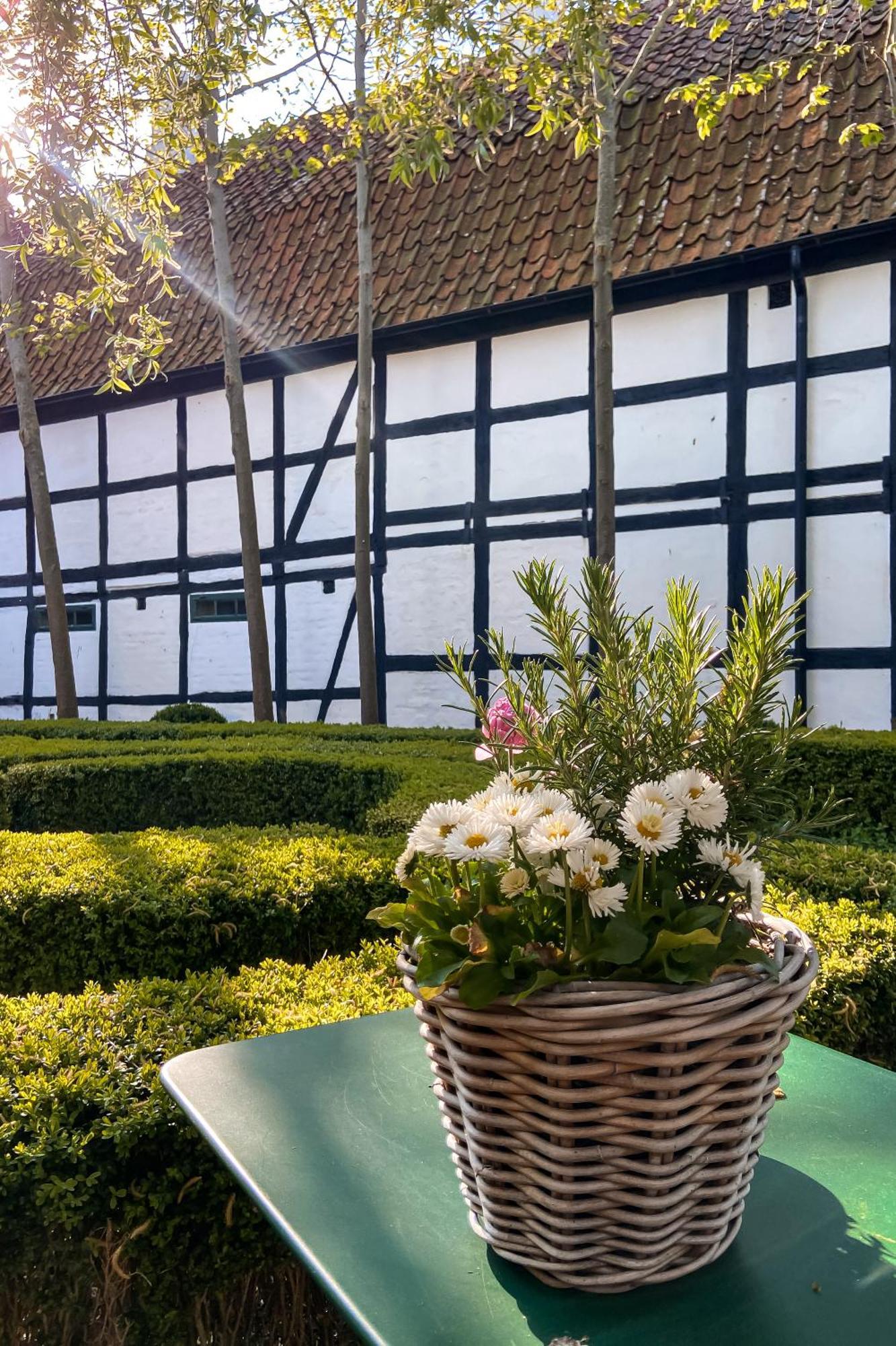 Gardens & Apotekarns B&B Simrishamn Exteriér fotografie